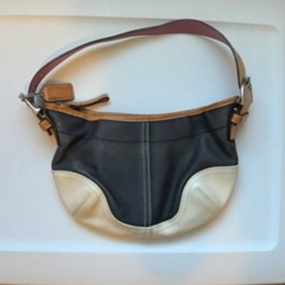 Coach clutch bag, multi color